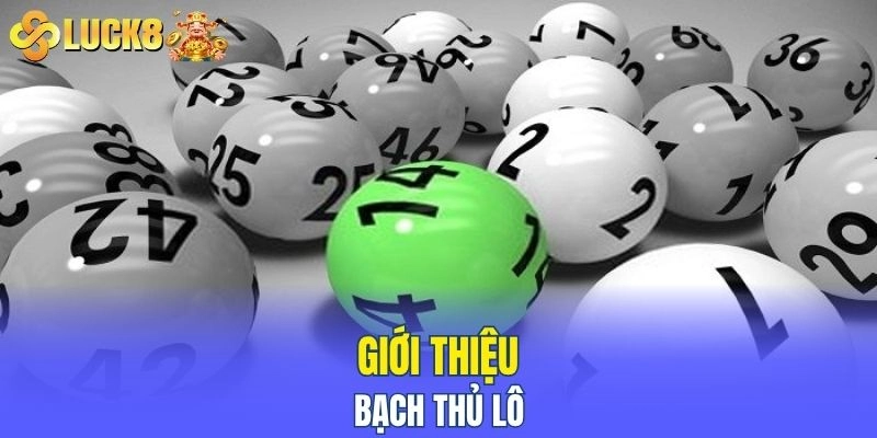 Giới thiệu bạch thủ lô 